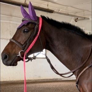 Meet your Posher, Chloe